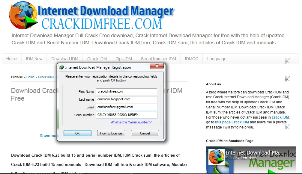 Internet Download Manager Serial Key 6.28